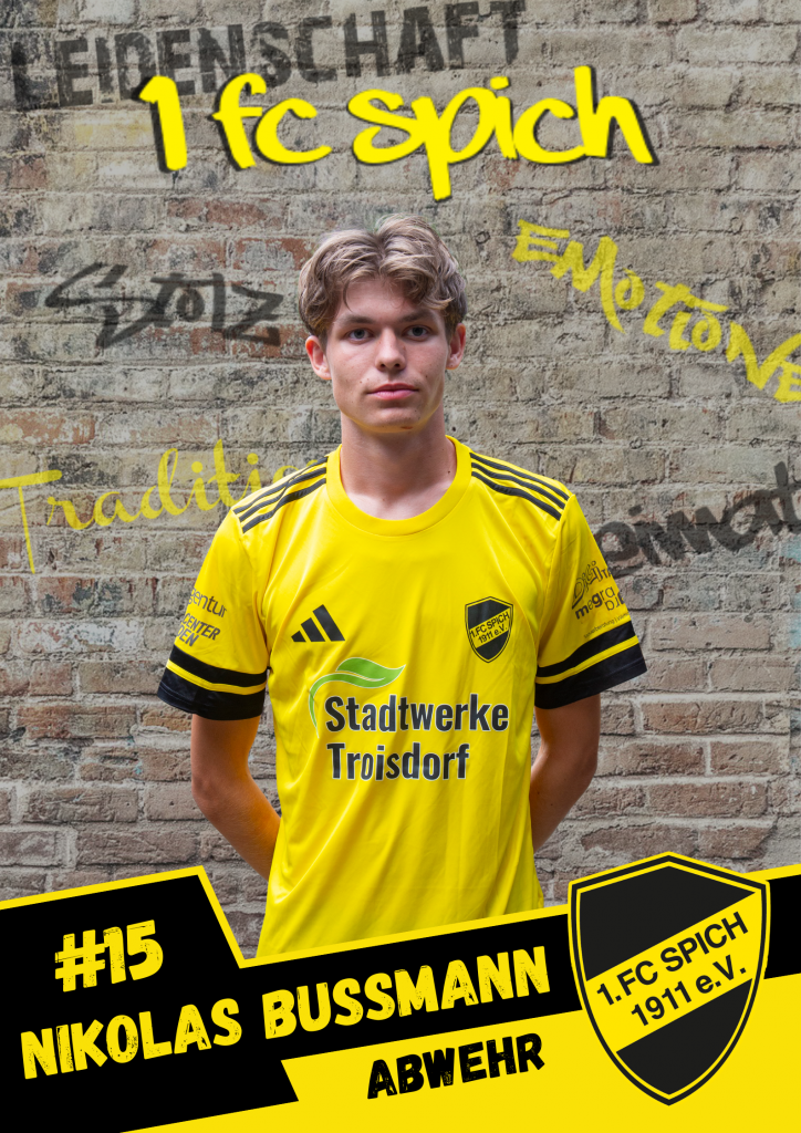 Niko Bussmann
