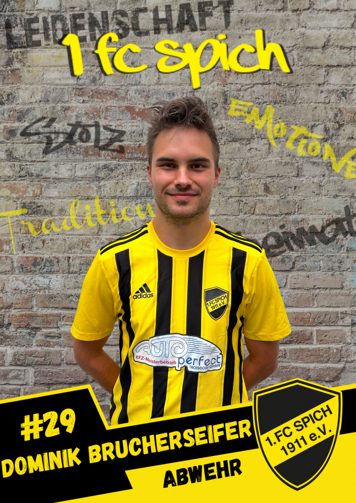 Dominik Brucherseifer