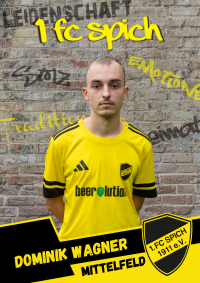 Dominik Wagner