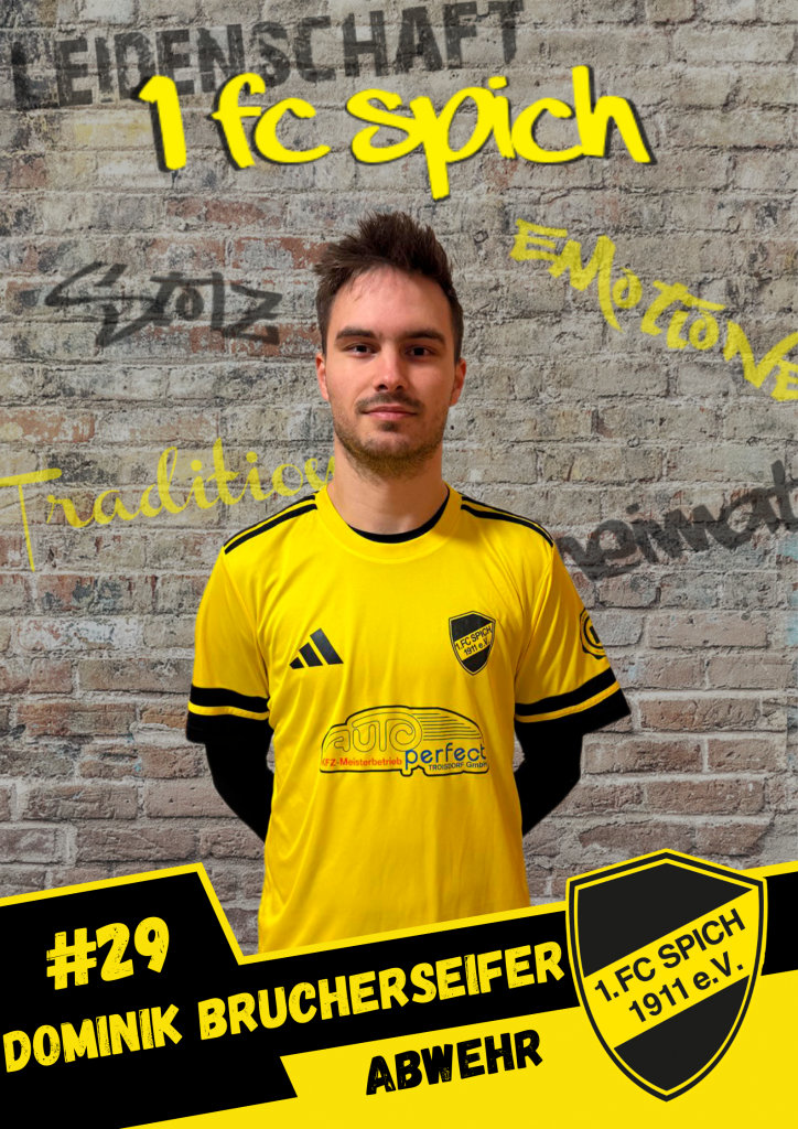 Dominik Brucherseifer