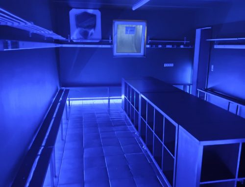 Teambuilding einmal anders – Winterpause sinnvoll genutzt