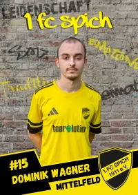 Dominik Wagner