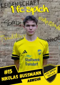 Niko Bussmann