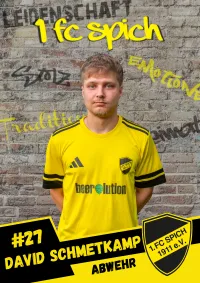 David Schmetkamp